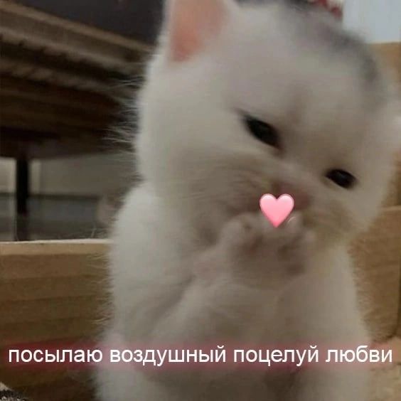Подбадривающий танец