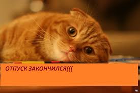 грустный котик хочет отдыхать